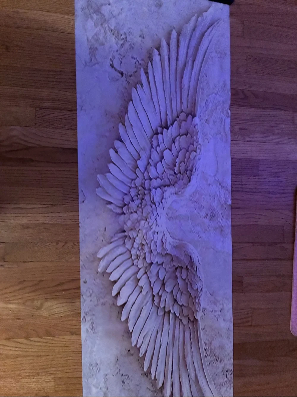 Angel Wing Wall Art Panel in Blush Pink - Unbranded